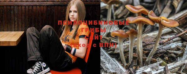 марихуана Баксан
