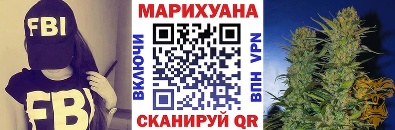 Конопля семена  OMG ONION  Нестеровская 